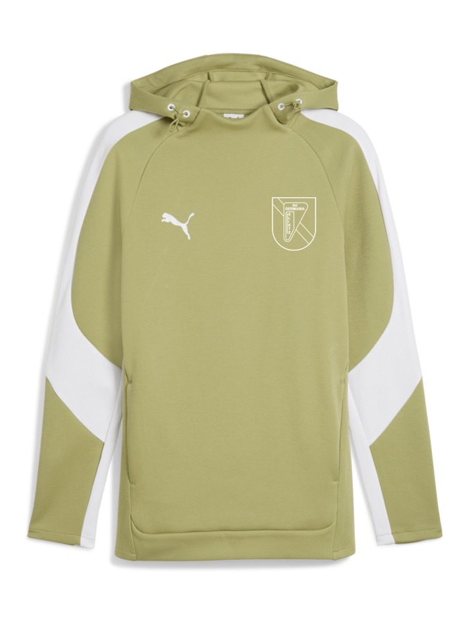 PUMA teamEVOSTRIPE Hoody