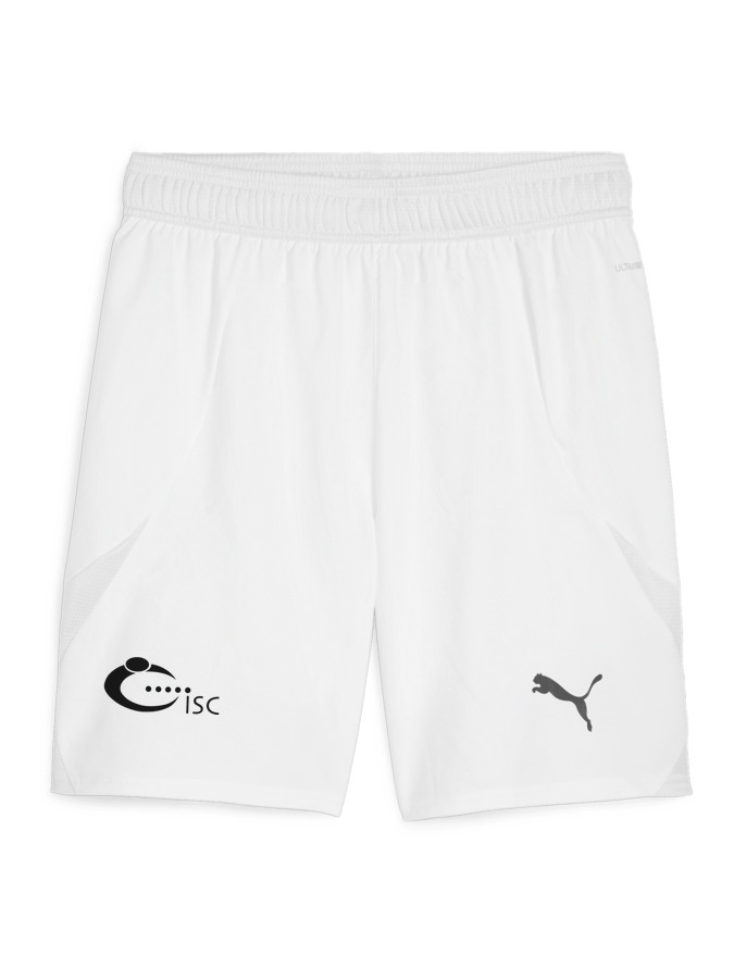 PUMA teamFINAL Shorts