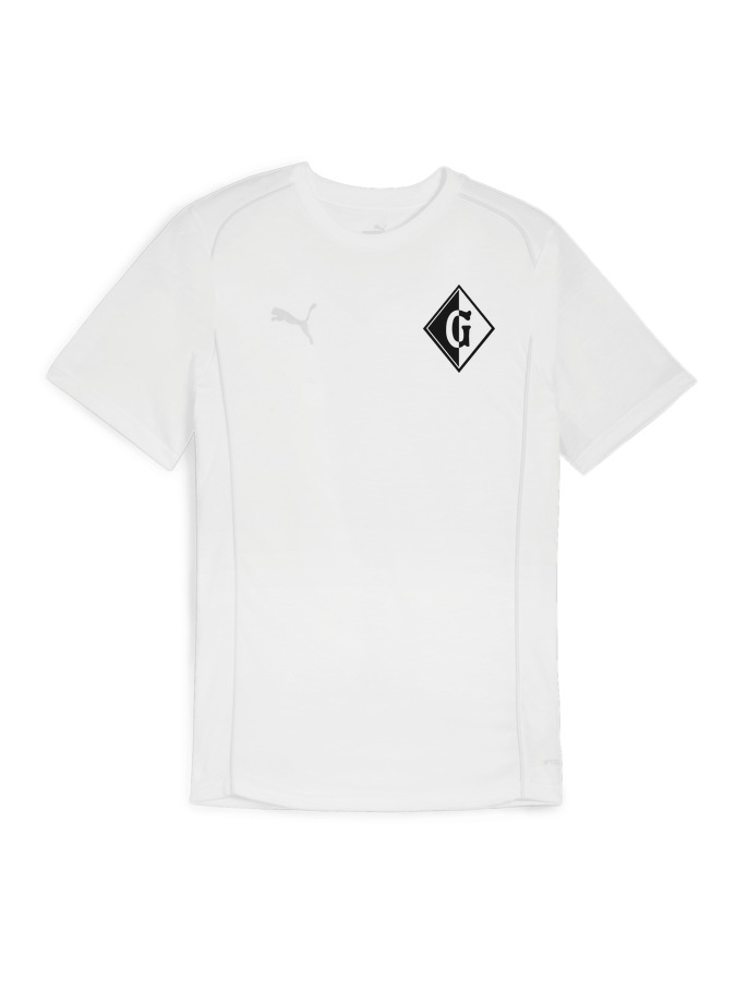 PUMA teamFINAL Casuals T-Shirt