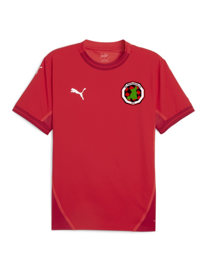 PUMA teamFINAL Trikot