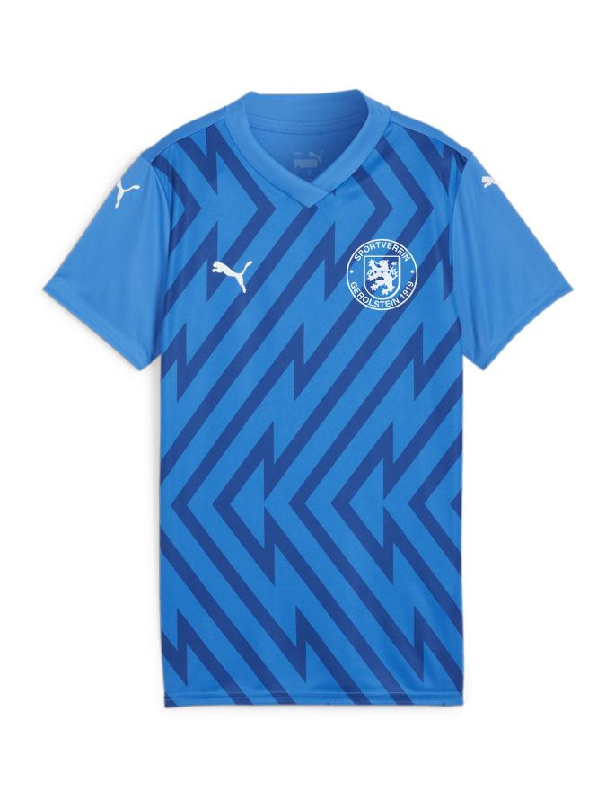 PUMA teamGLORY Trikot Damen