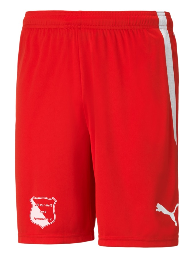 PUMA teamLIGA Shorts