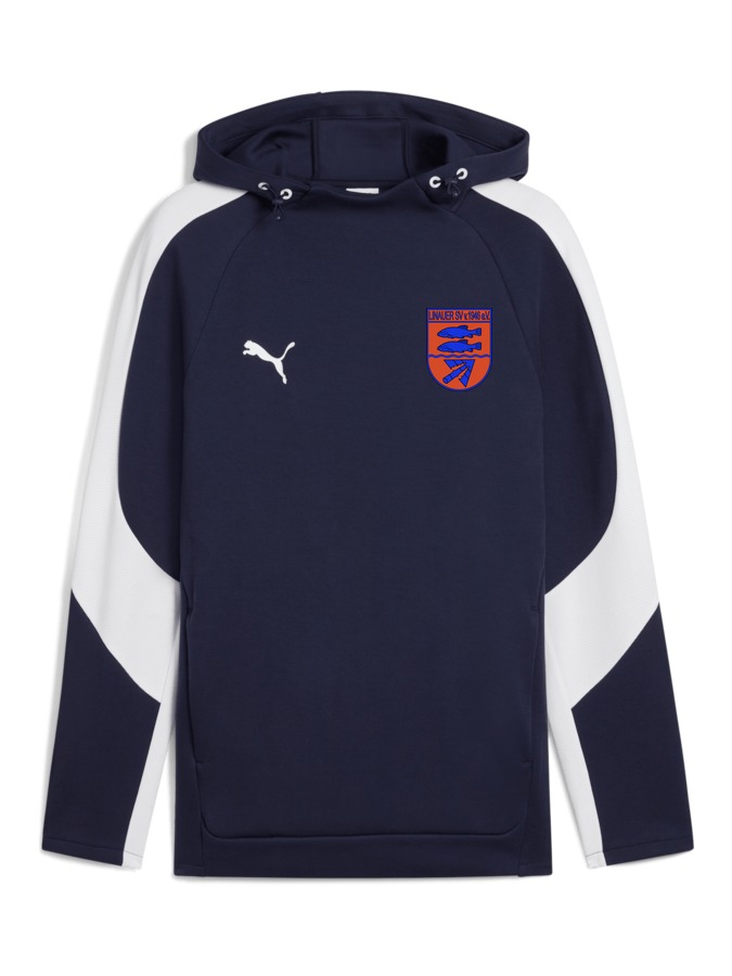 PUMA teamEVOSTRIPE Hoody