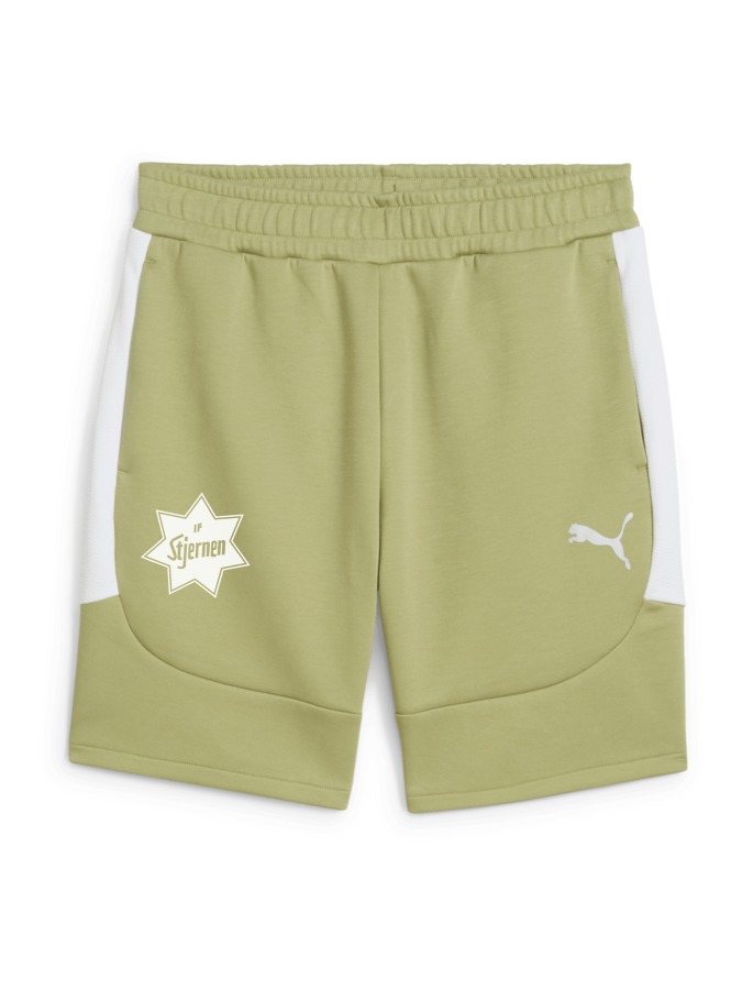 PUMA teamEVOSTRIPE Shorts