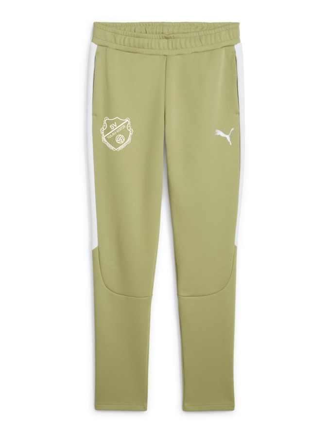PUMA teamEVOSTRIPE Hose