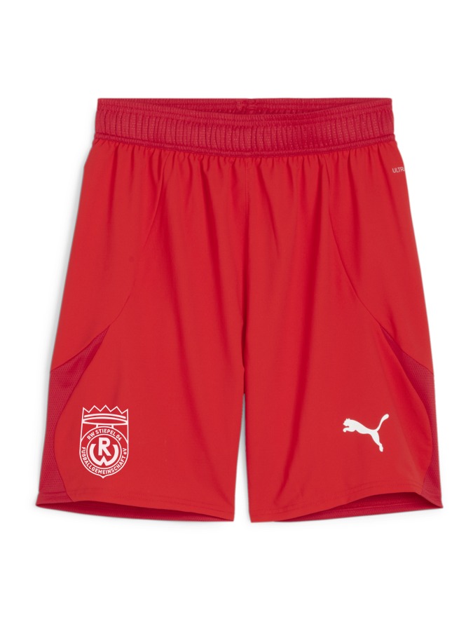 PUMA teamFINAL Shorts