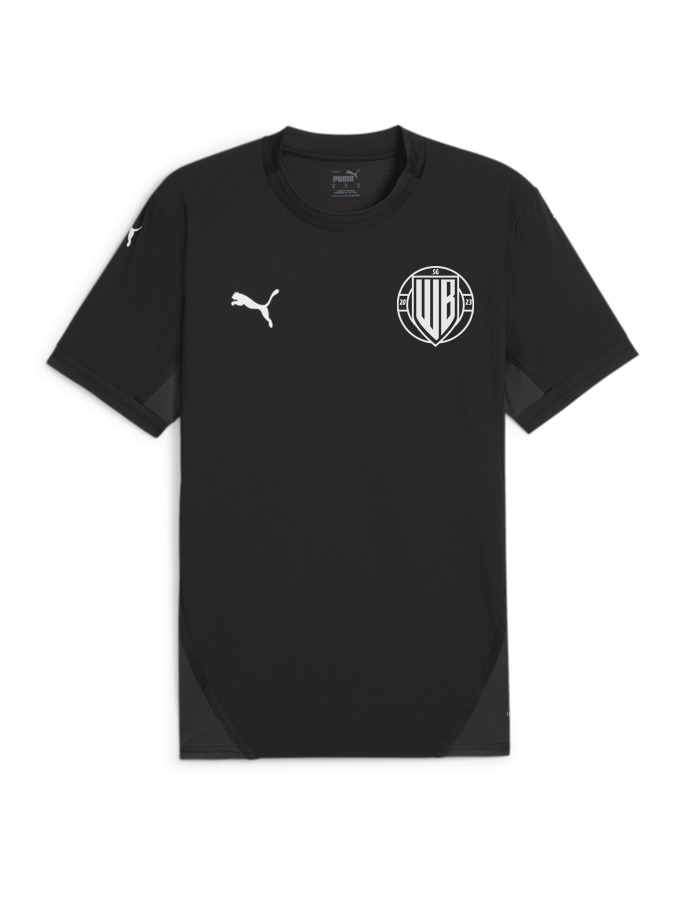 PUMA teamFINAL Trikot
