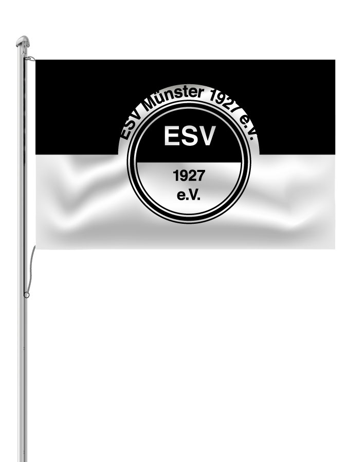Hissfahne Logo