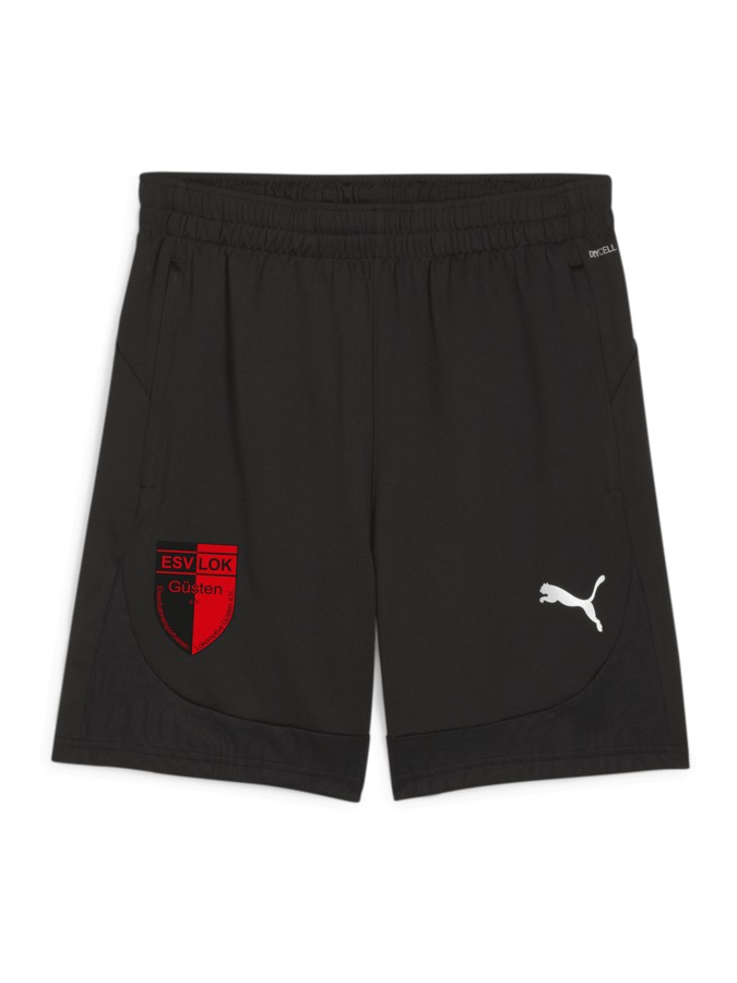 PUMA teamFINAL Training Shorts