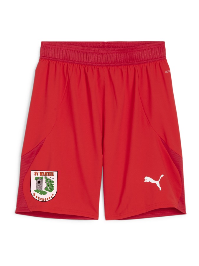 PUMA teamFINAL Shorts