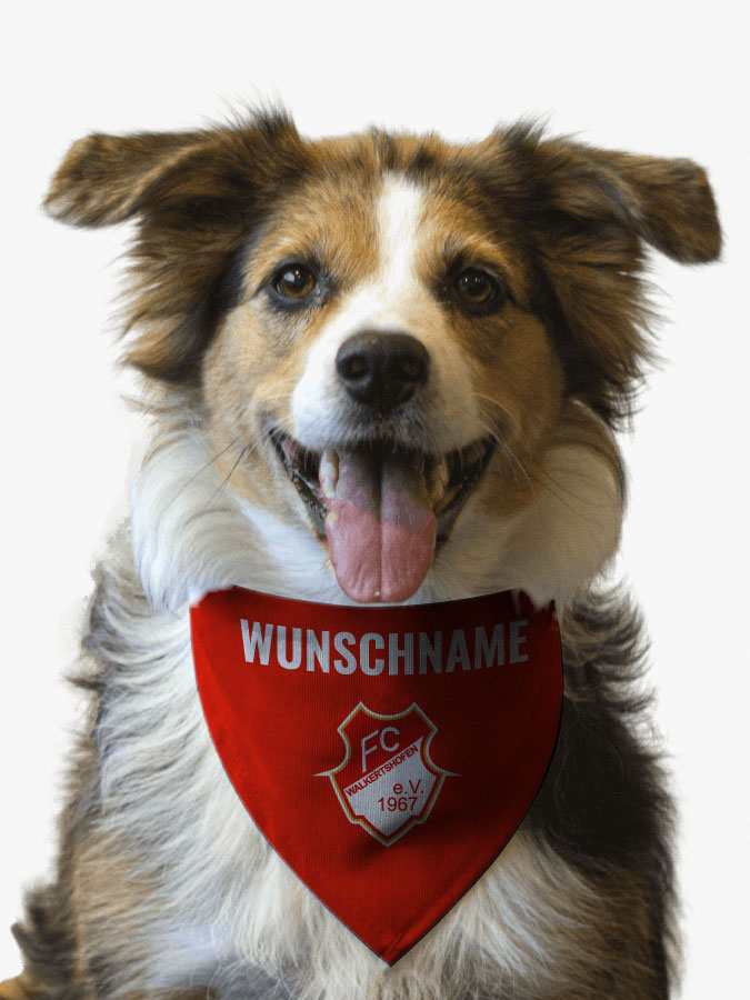 Hundehalstuch