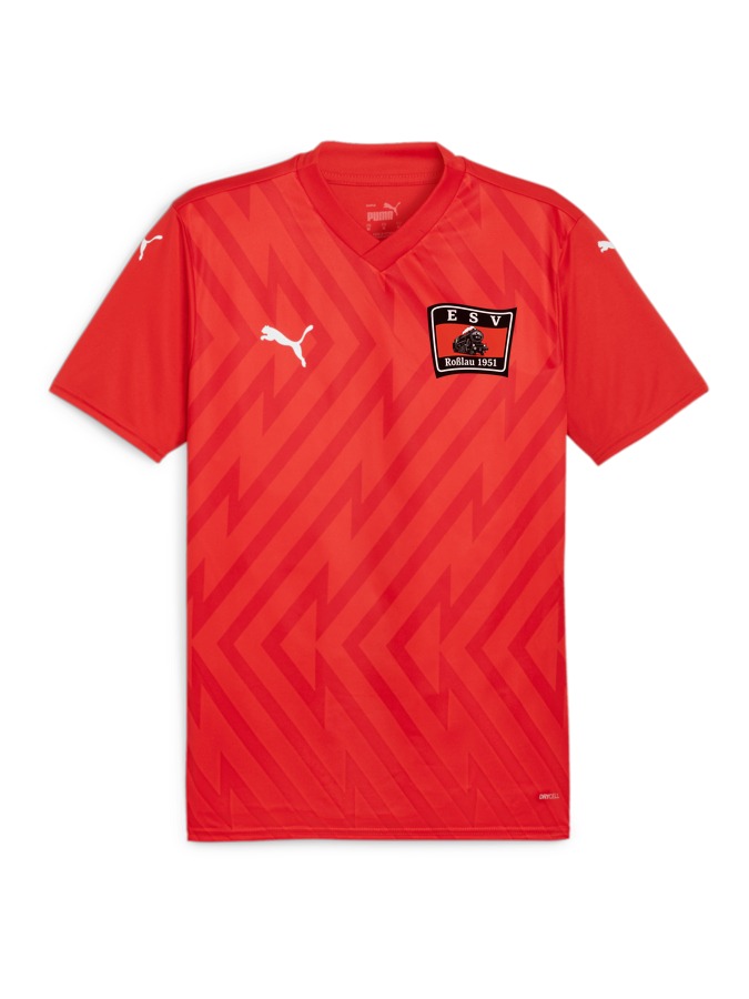 PUMA teamGLORY Trikot