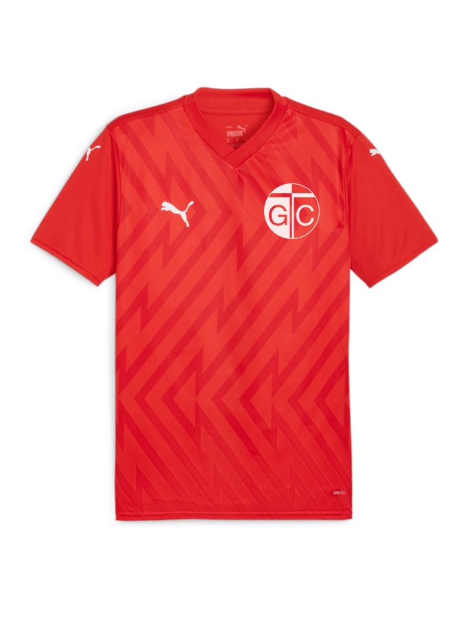 PUMA teamGLORY Trikot