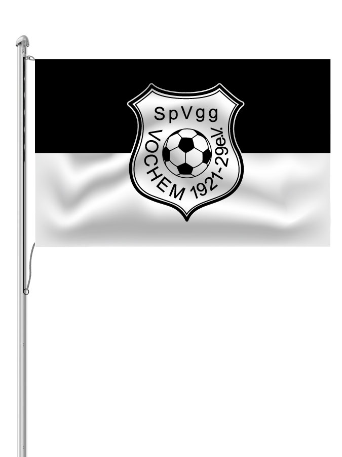 Hissfahne Logo