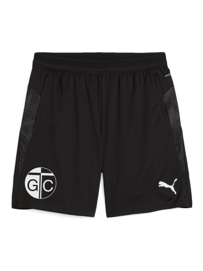 PUMA teamCUP Training Shorts