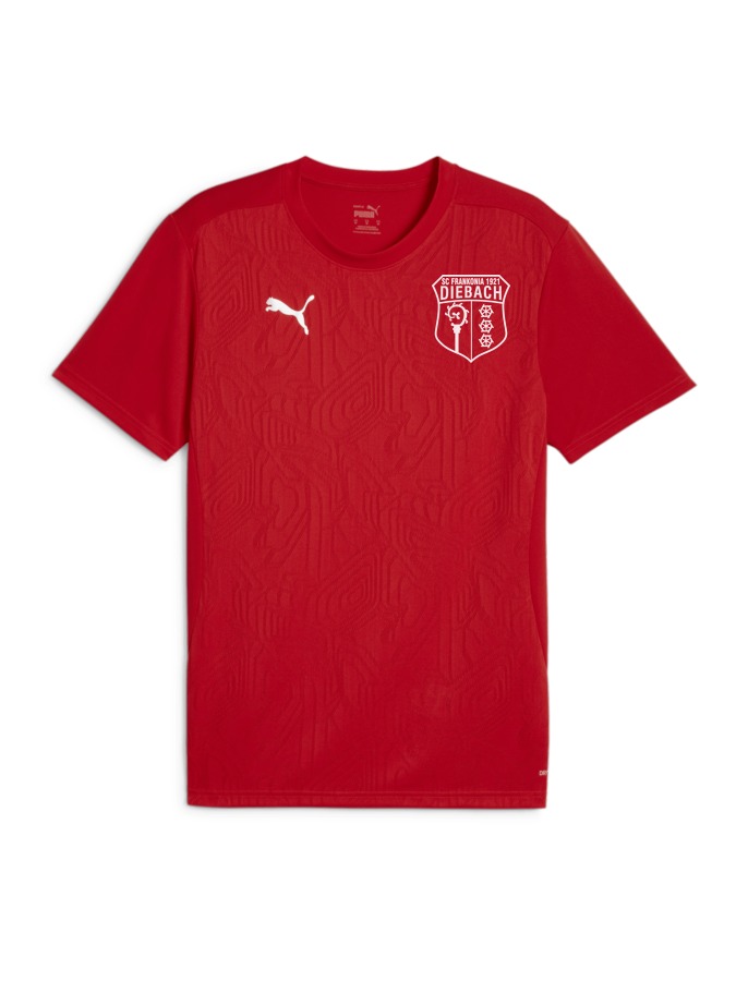 PUMA teamFINAL Trainingsshirt