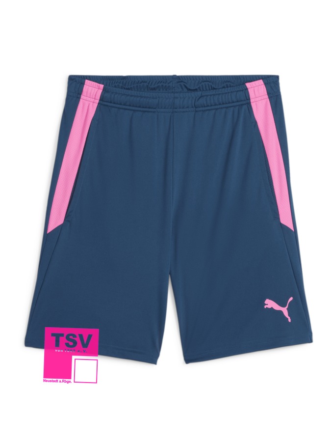 PUMA teamLIGA Training Shorts 2 (Offene Taschen)