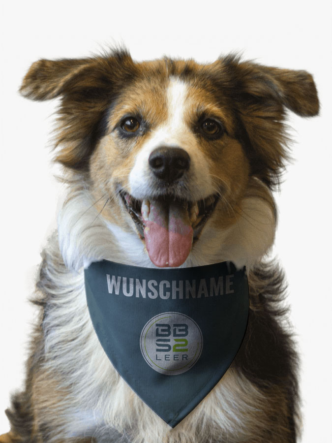 Hundehalstuch