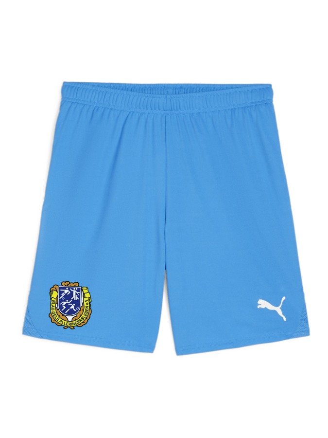 PUMA teamGOAL Shorts