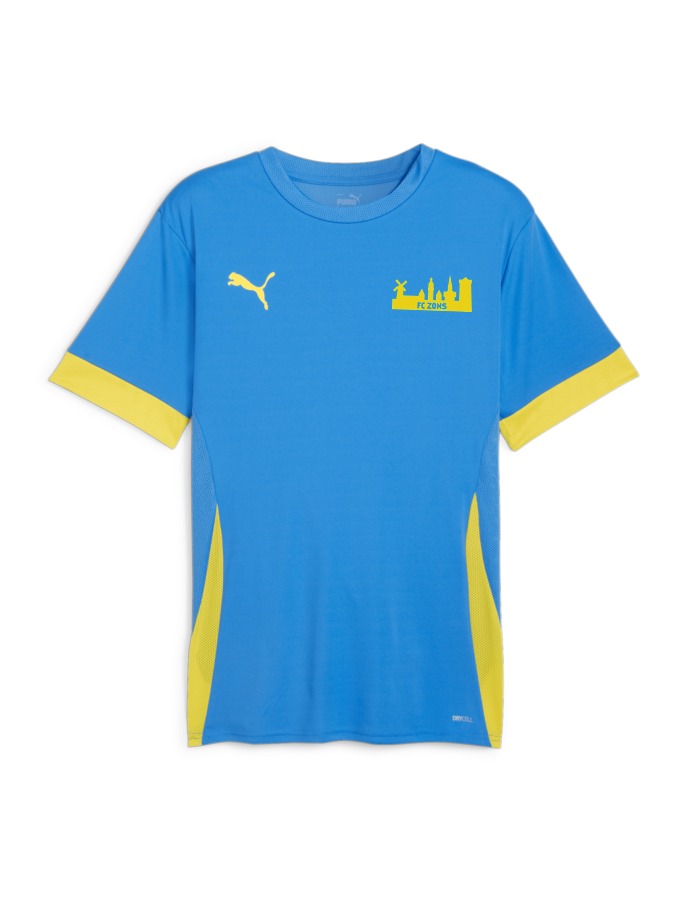 PUMA teamGOAL Matchday Trikot