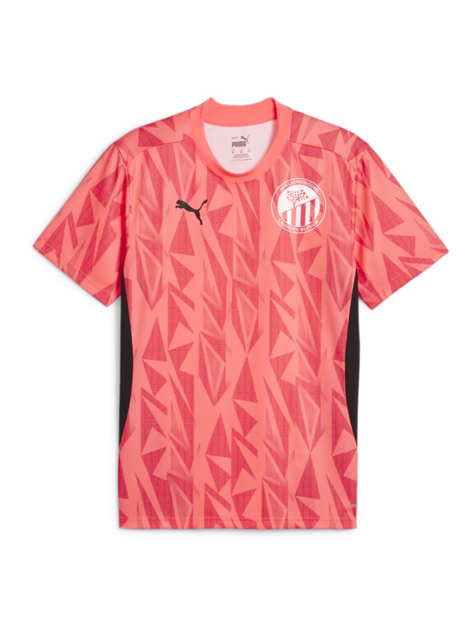 PUMA individualFINAL Trikot