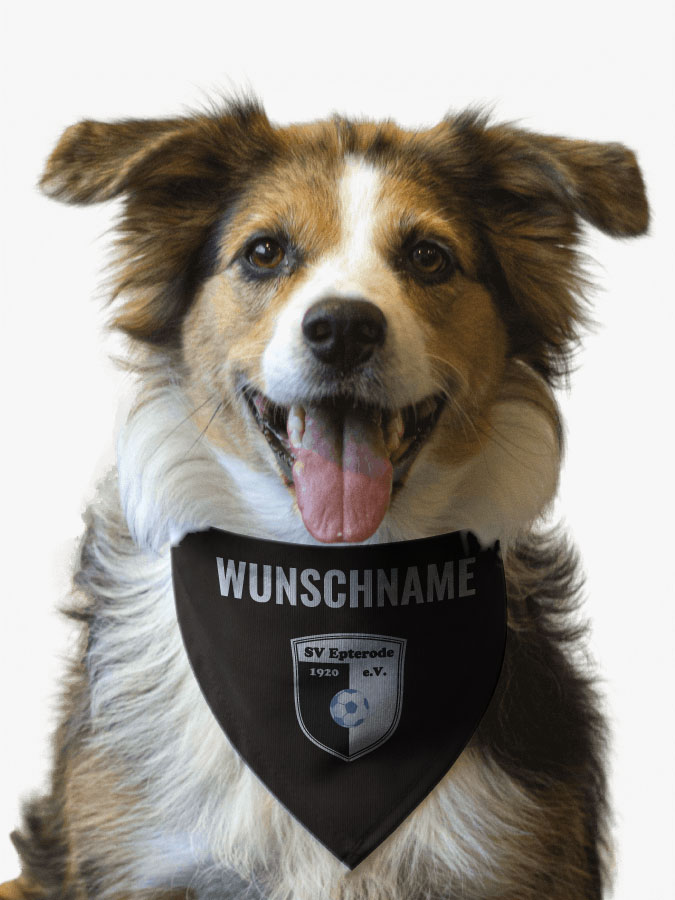 Hundehalstuch