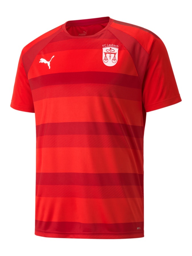 PUMA teamVISION Trikot