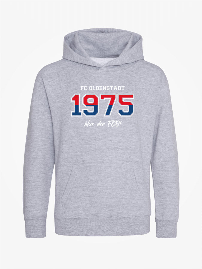 Hoodie Established Kids
