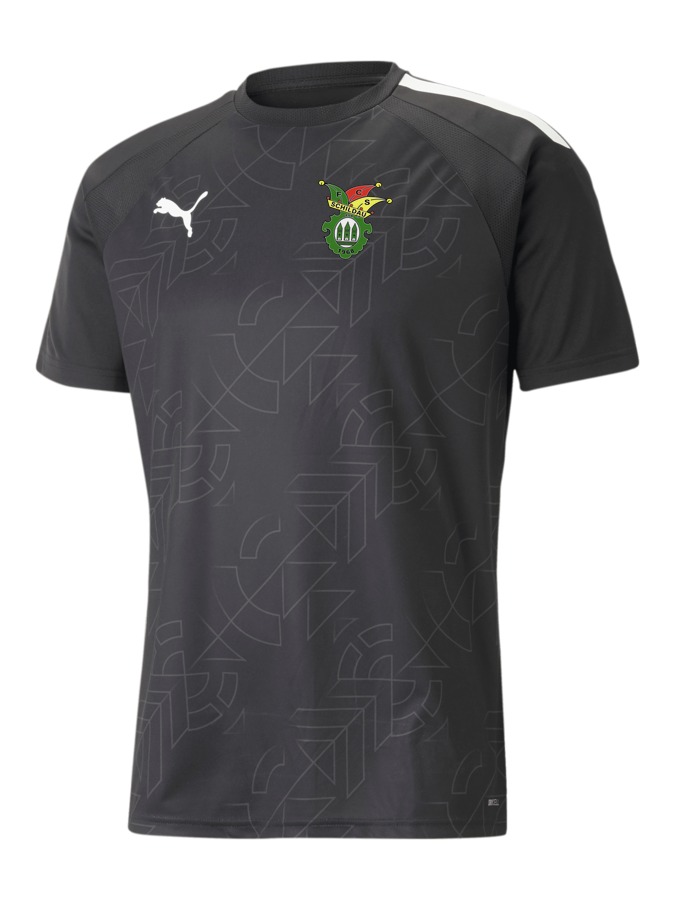 PUMA teamLIGA Graphic Trikot