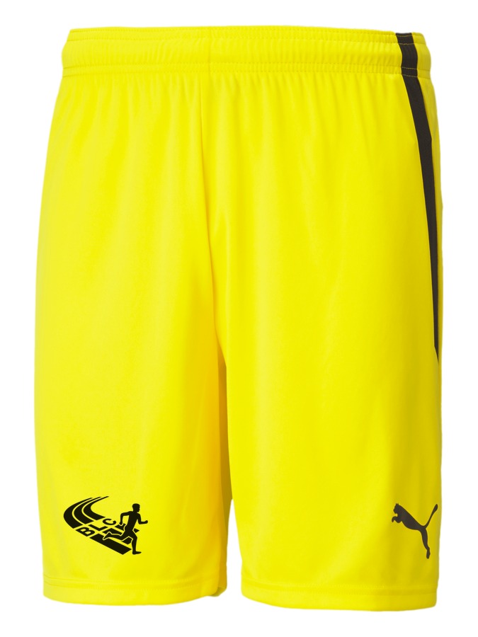 PUMA teamLIGA Shorts