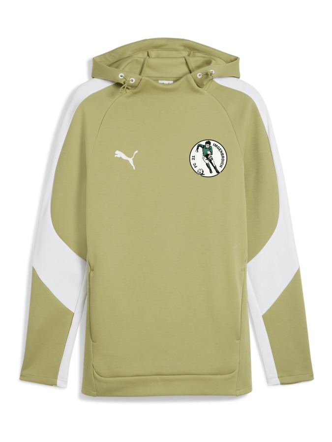 PUMA teamEVOSTRIPE Hoody