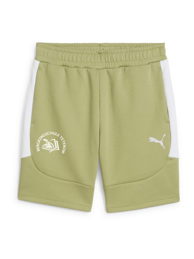 PUMA teamEVOSTRIPE Shorts