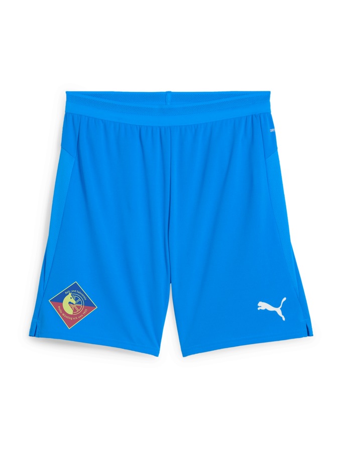 PUMA teamCUP Shorts