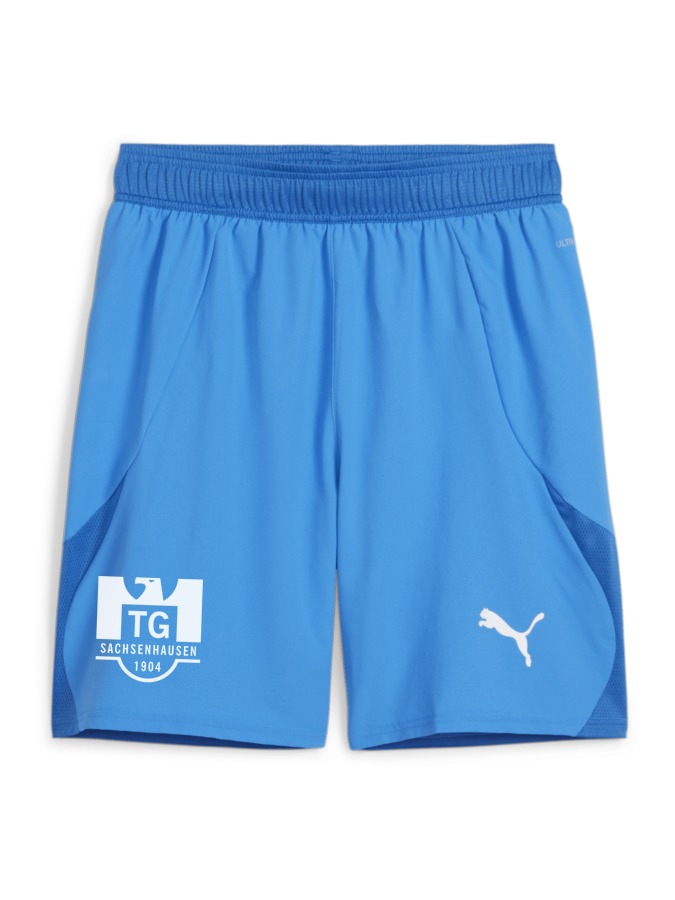 PUMA teamFINAL Shorts