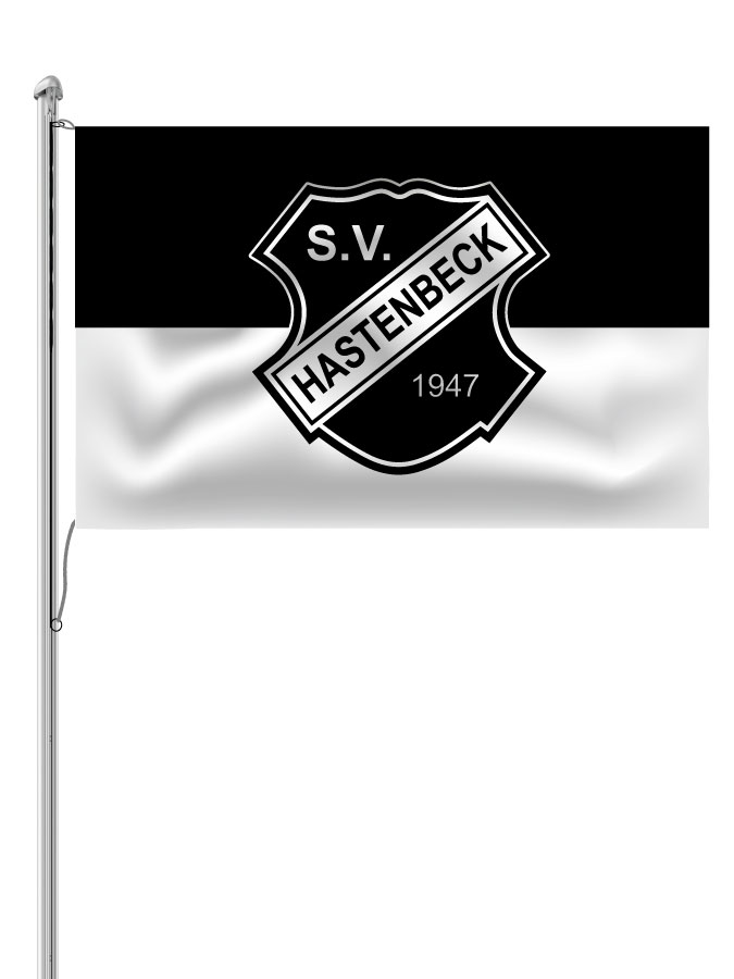 Hissfahne Logo