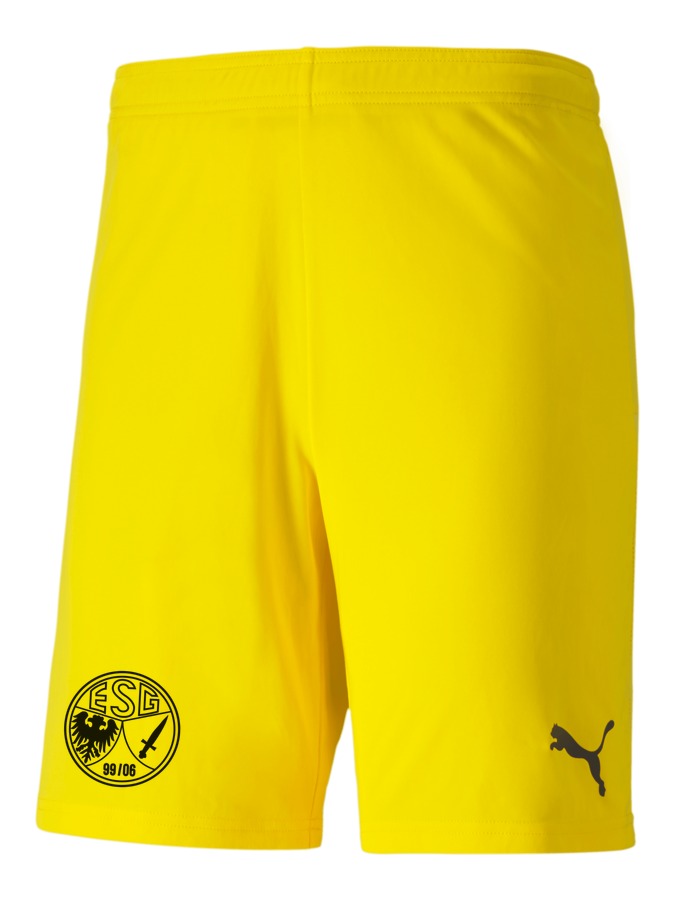PUMA teamGOAL 23 Knit Shorts