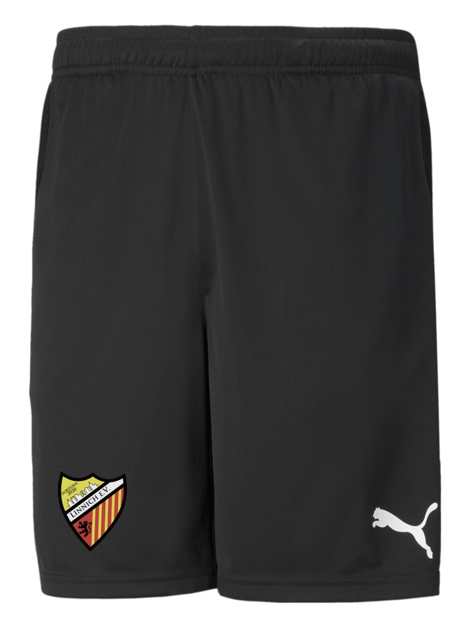 PUMA teamRISE Training Shorts