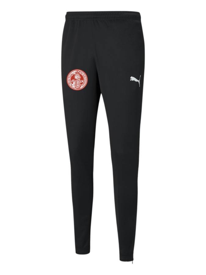 PUMA teamRISE Poly Trainingshose