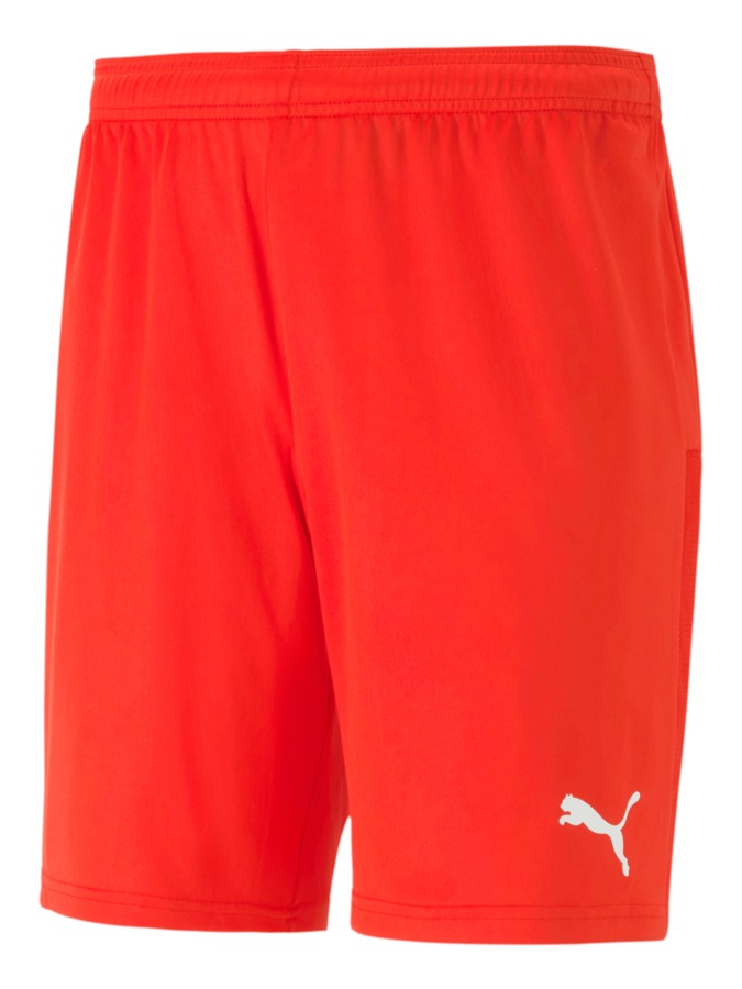 PUMA teamGOAL 23 Knit Shorts