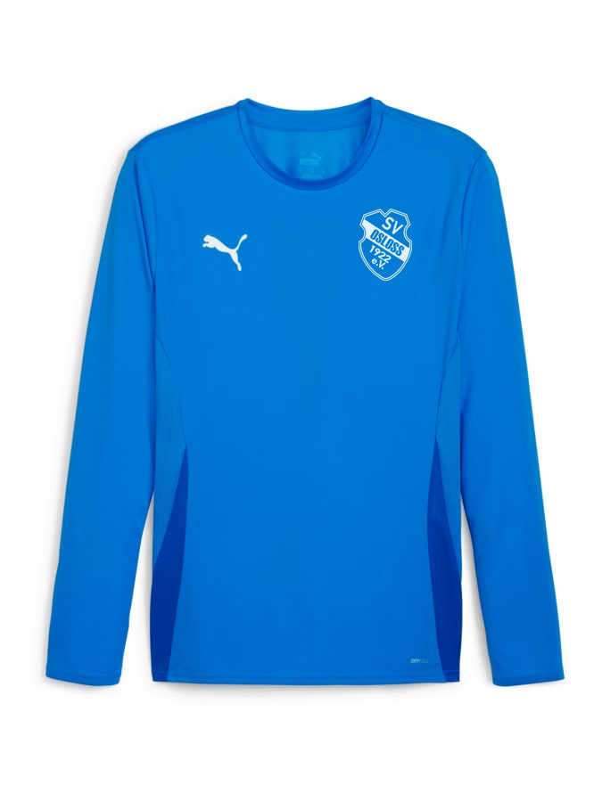 PUMA teamGOAL Longsleeve Trikot