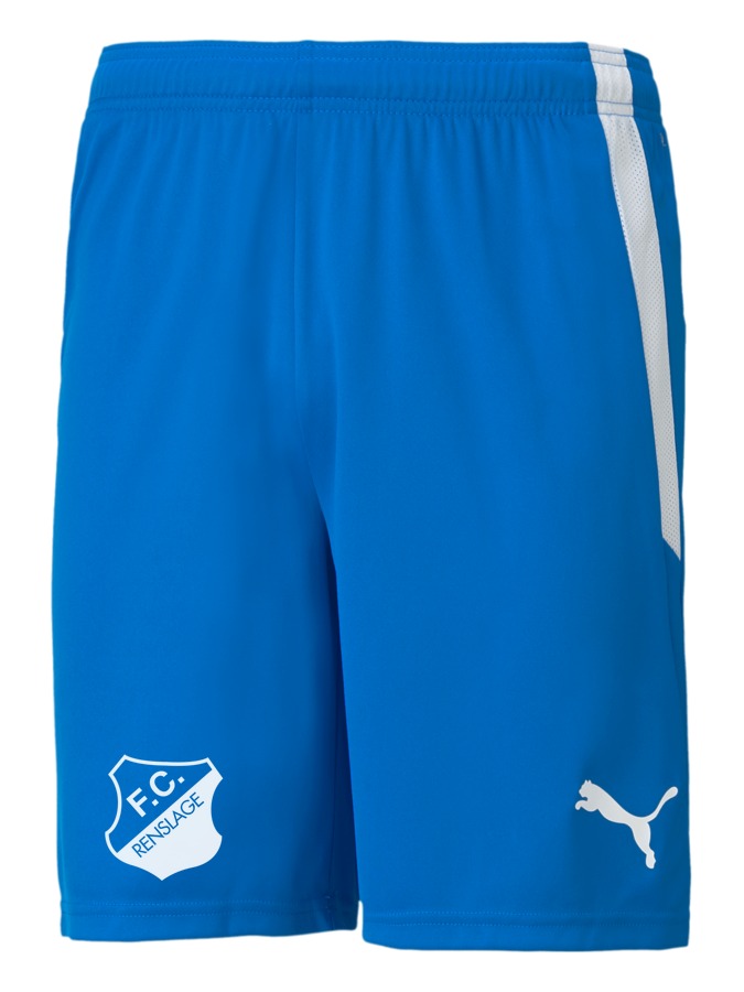 PUMA teamLIGA Shorts