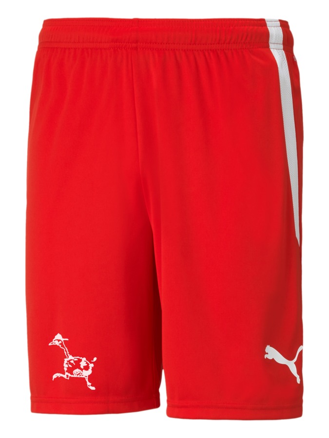 PUMA teamLIGA Shorts