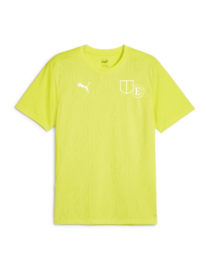 PUMA teamFINAL Trainingsshirt