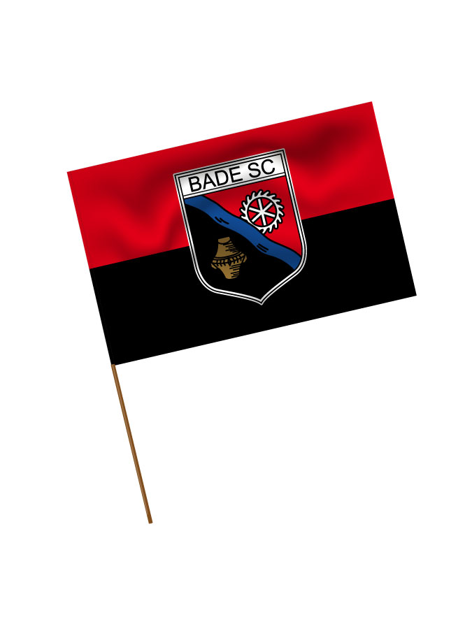Stadionfahne Logo