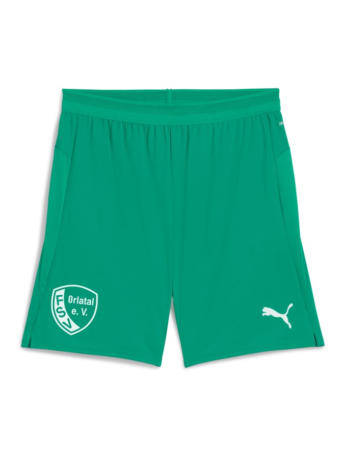 PUMA teamCUP Shorts