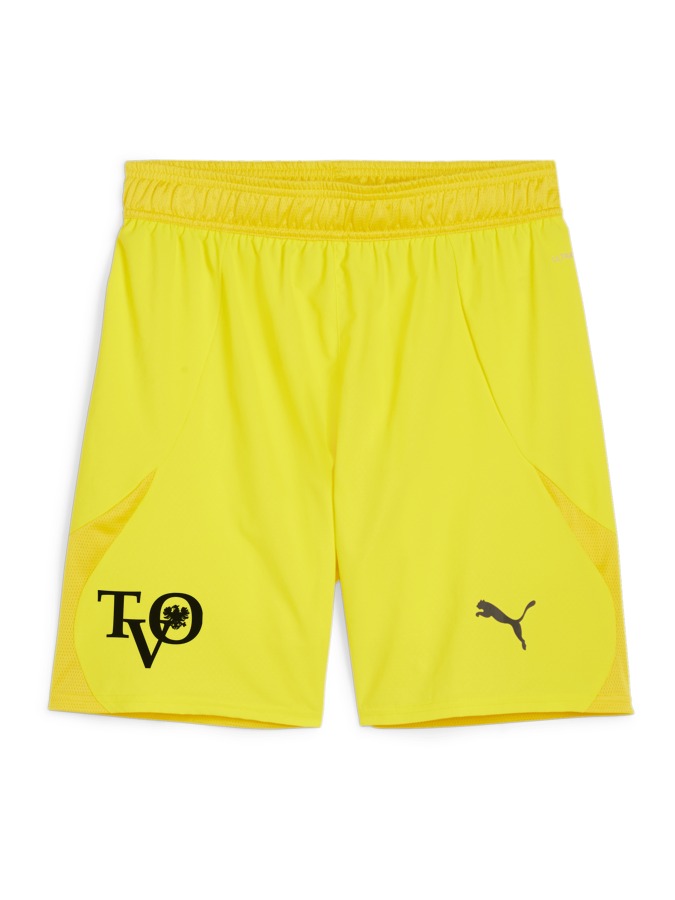 PUMA teamFINAL Shorts