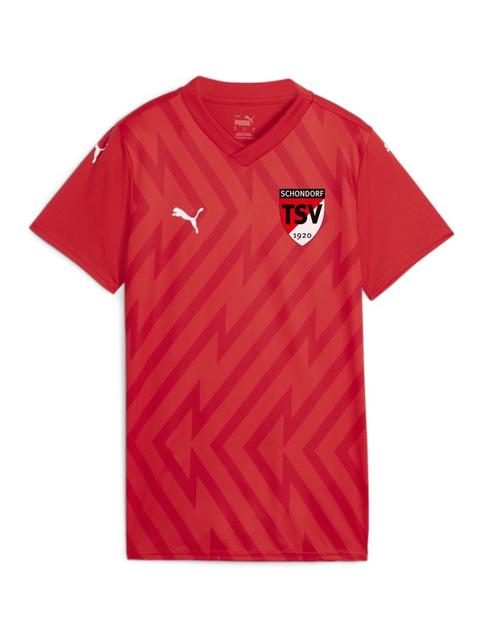 PUMA teamGLORY Trikot Damen