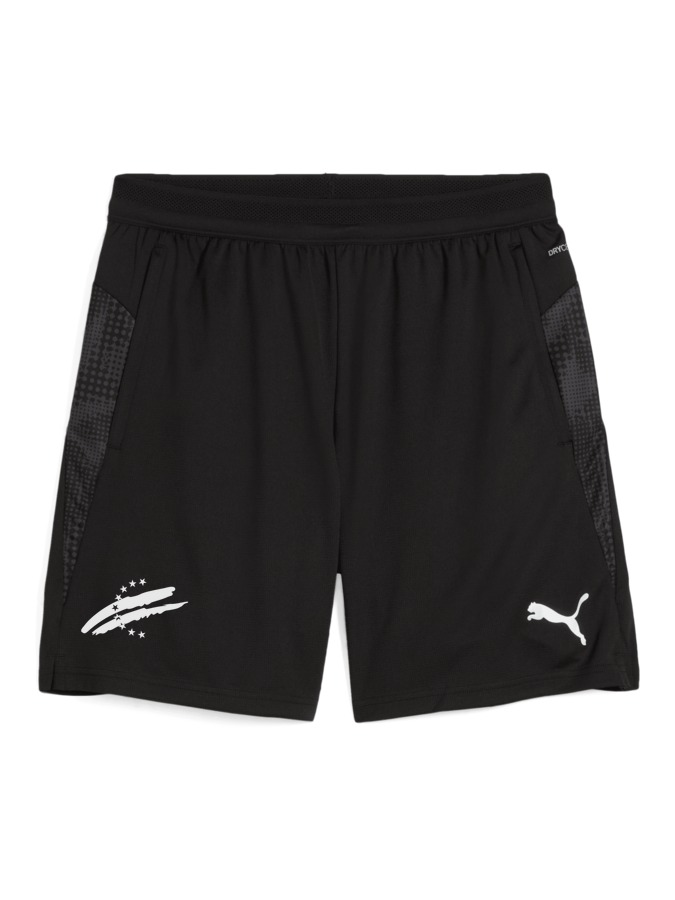 PUMA teamCUP Training Shorts