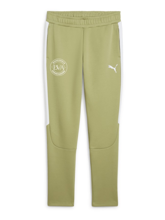 PUMA teamEVOSTRIPE Hose