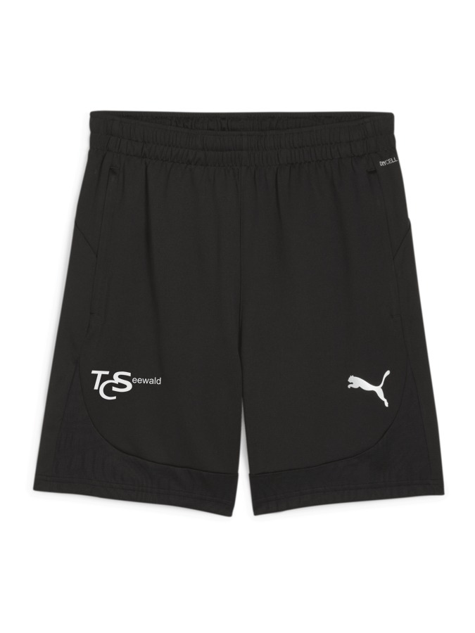PUMA teamFINAL Training Shorts
